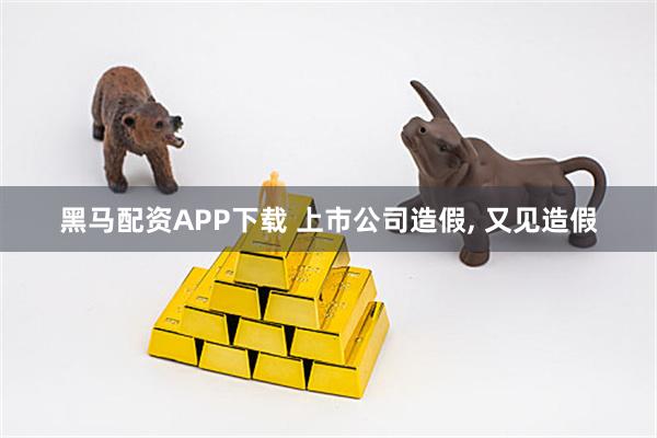 黑马配资APP下载 上市公司造假, 又见造假