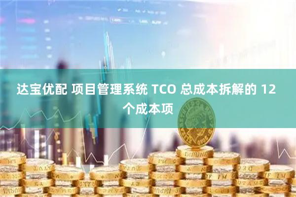 达宝优配 项目管理系统 TCO 总成本拆解的 12 个成本项