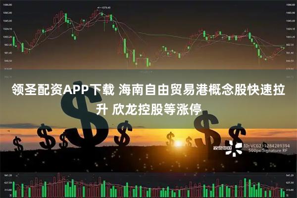 领圣配资APP下载 海南自由贸易港概念股快速拉升 欣龙控股等涨停